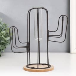 Фигурка с колбой (вазоном) «Кактус», чёрный, 20×12×22.5 см