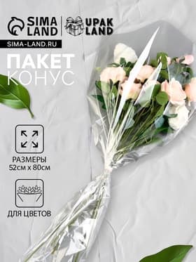 Пакет для цветов, конус под гладиолус, 14+52×80 см, прозрачный