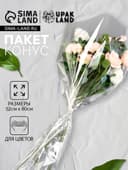 Пакет для цветов, конус под гладиолус, 14+52×80 см, прозрачный