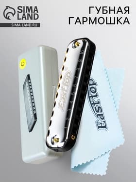 Губная гармошка Music Life T10-1 C BLACK диатоническая, 10 отверстий, с футляром