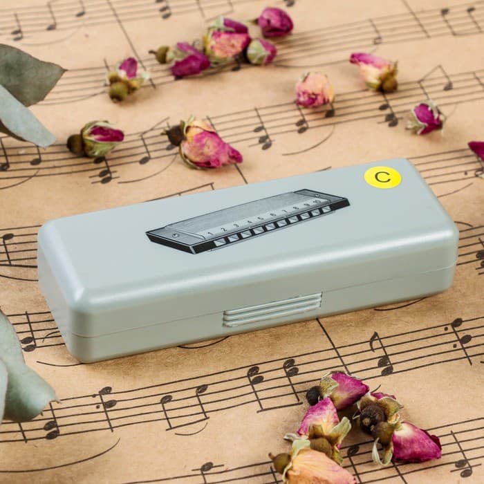 Губная гармошка Music Life T10-1 C BLACK диатоническая, 10 отверстий, с футляром