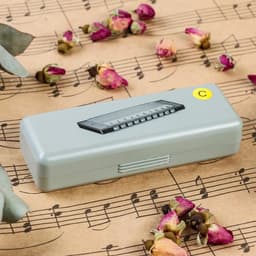 Губная гармошка Music Life T10-1 C BLACK диатоническая, 10 отверстий, с футляром