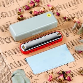 Губная гармошка Music Life T10-1 C RED COMB диатоническая, 10 отверстий, с футляром, красная
