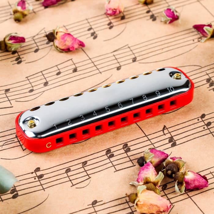 Губная гармошка Music Life T10-1 C RED COMB диатоническая, 10 отверстий, с футляром, красная