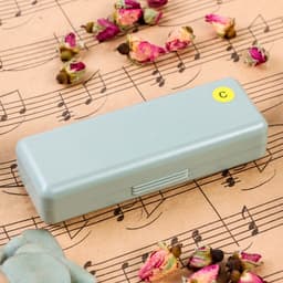 Губная гармошка Music Life T10-1 C RED COMB диатоническая, 10 отверстий, с футляром, красная