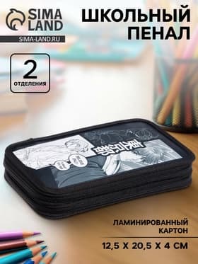 Пенал школьный, 2 секции, 12.5×20.5×4 см«Аниме принт»