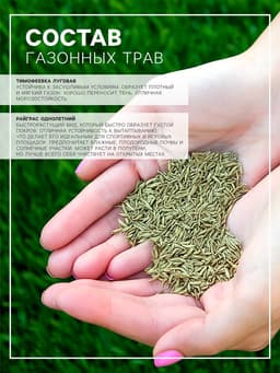 Семена газонной травы БЫСТРЫЙ, 1  кг   2277556