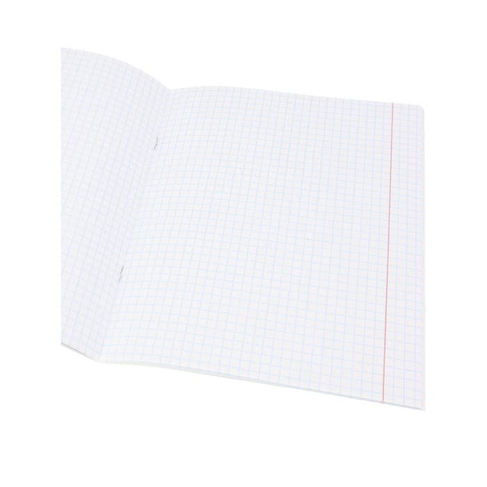 Тетрадь предметная 48 листов в клетку Школьные мемасики "Алгебра", обложка мелованный картон, тиснение холст, блок офсет