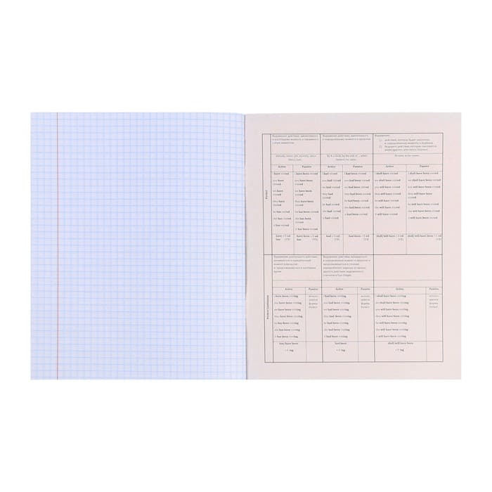 Тетрадь предметная 48 листов в клетку Школьные мемасики "Английский язык", обложка мелованный картон, тиснение холст, блок офсет