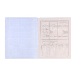 Тетрадь предметная 48 листов в клетку Школьные мемасики "Английский язык", обложка мелованный картон, тиснение холст, блок офсет