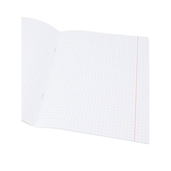 Тетрадь предметная 48 листов в клетку Школьные мемасики "Информатика", обложка мелованный картон, тиснение холст, блок офсет