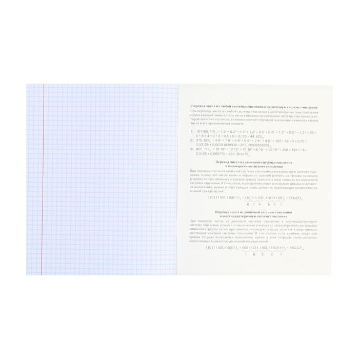 Тетрадь предметная 48 листов в клетку Школьные мемасики "Информатика", обложка мелованный картон, тиснение холст, блок офсет