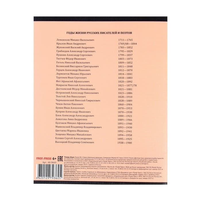 Тетрадь предметная 48 листов в линию Школьные мемасики "Литература", обложка мелованный картон, тиснение холст, блок офсет