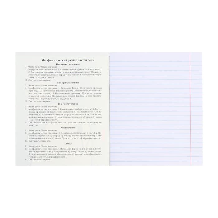 Тетрадь предметная 48 листов в линию Школьные мемасики "Русский язык", обложка мелованный картон, тиснение холст, блок офсет