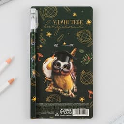 Подарочный набор, ручка шариковая 0.5 мм, значок «Выпускной: Прощай школа»