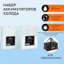 Набор аккумуляторов холода - гелевый хладоэлемент для термосумки «Мастер К.», 2 шт. по 500 мл