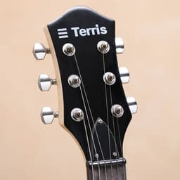 Электрогитара TERRIS TLP-039 BK Les Paul, HH, 2V2T, чёрная