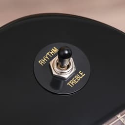 Электрогитара TERRIS TLP-039 BK Les Paul, HH, 2V2T, чёрная