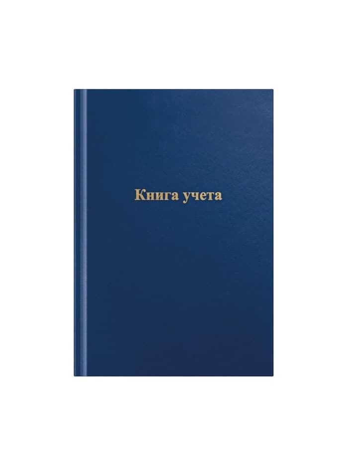Книга учета, 192 листа, обложка бумвинил, блок газетный, клетка, синяя