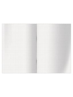 Книга учета, 192 листа, обложка бумвинил, блок газетный, клетка, синяя