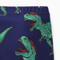 Костюм купальный для мальчика KAFTAN «Динозавр», сине-белый, рост 98-104 см