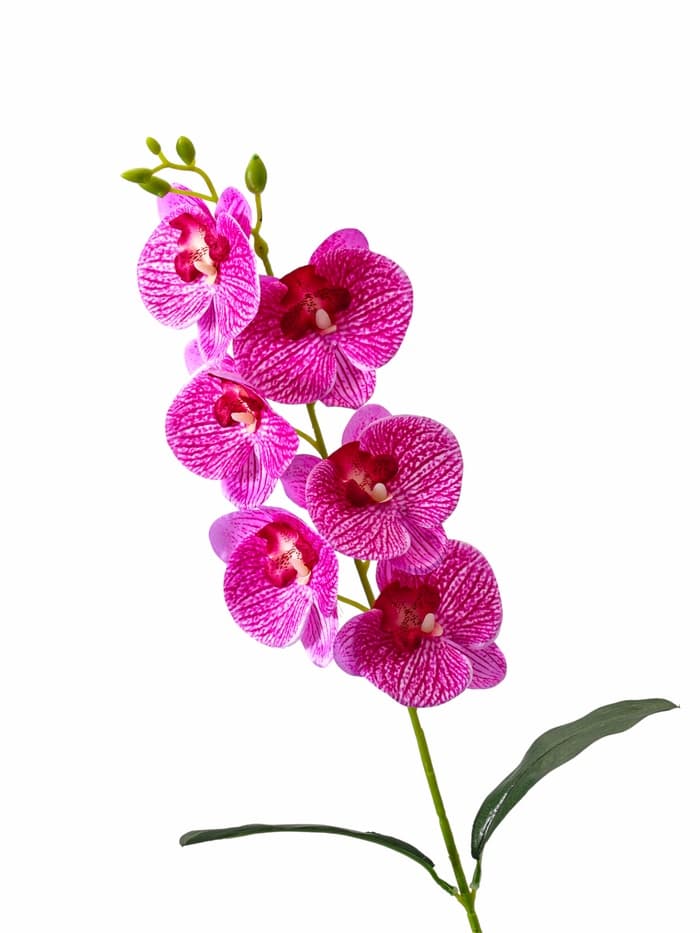 Цветы искусственные «Орхидея фаленопсис» премиум, 7×55 см, сиреневый