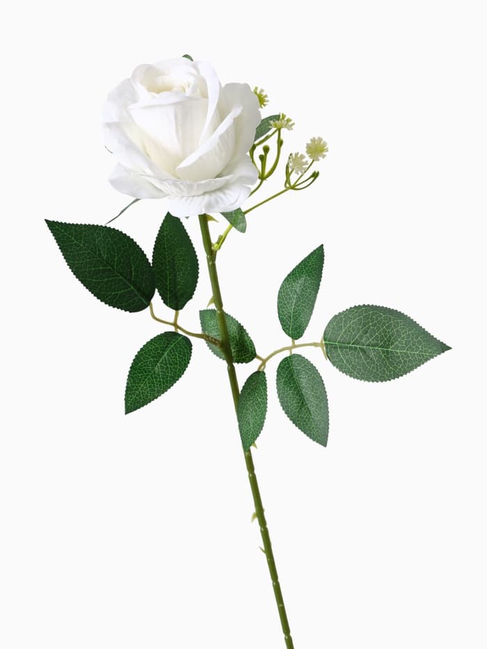 Цветы искусственные «Роза венесуэльская», 8×56 см, белые