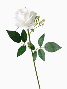 Цветы искусственные «Роза венесуэльская», 8×56 см, белые