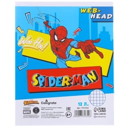 Набор первоклассника в папке, «Человек-паук», 40 предметов