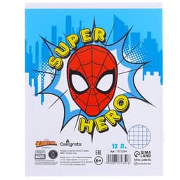 Набор первоклассника в папке, «Человек-паук», 40 предметов