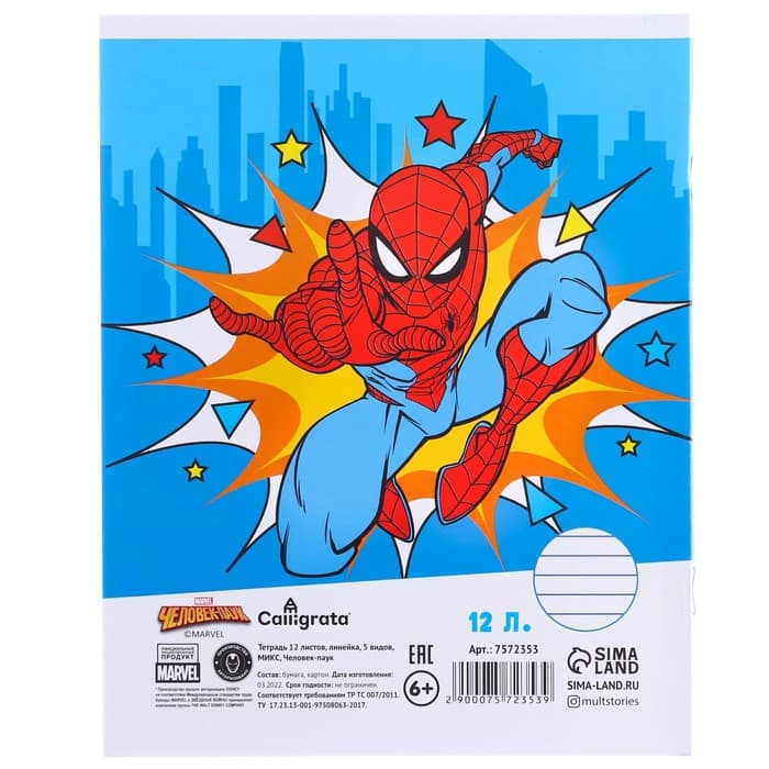 Набор первоклассника в папке, «Человек-паук», 40 предметов