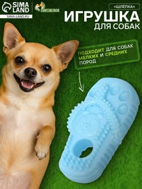 Игрушка для собак «Шлёпка», TPR, массажная, 12×6.2 см, голубая