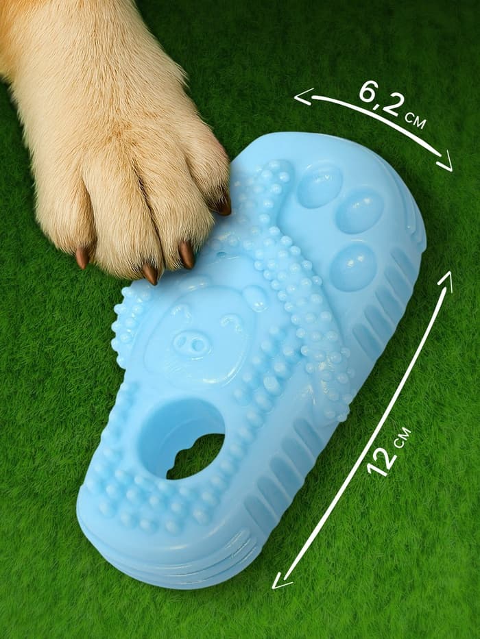 Игрушка для собак «Шлёпка», TPR, массажная, 12×6.2 см, голубая