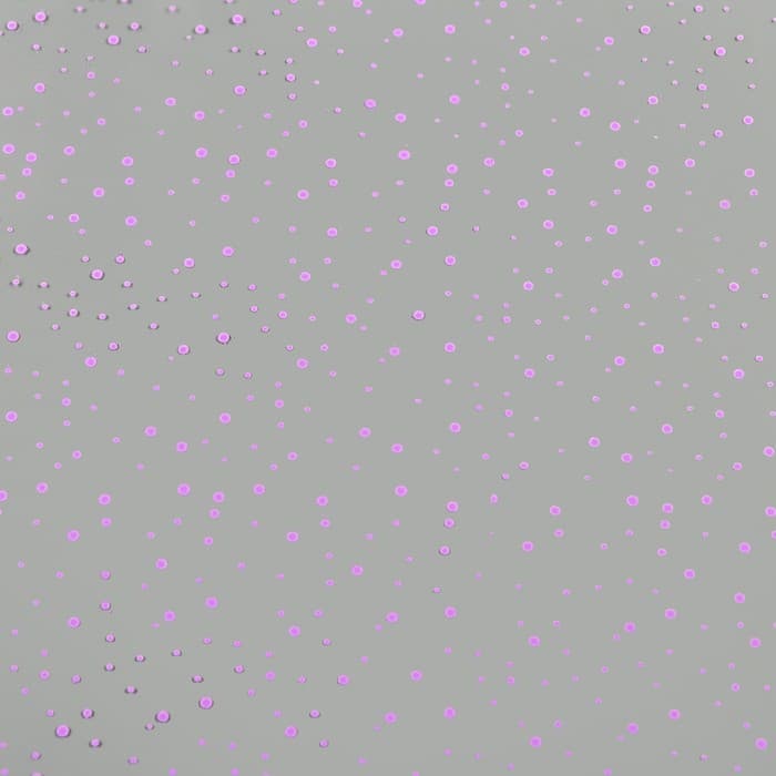 Пленка для цветов «Мошка» сиреневая 0.7×8.2 м, 40 мкм