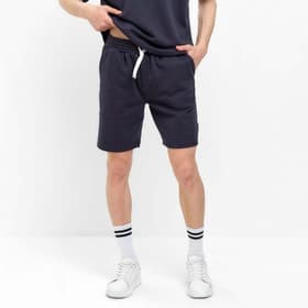 Шорты мужские MIST Men's casual размер 56, синие