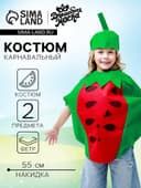 Карнавальный костюм «Забавный арбуз», фетр