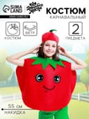 Карнавальный костюм «Спелый помидор», фетр