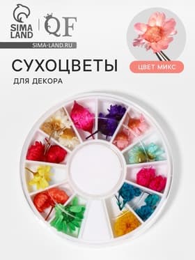 Сухоцветы для декора «Ромашки», объёмные, 12 видов, в футляре, разноцветные