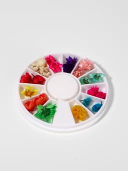 Сухоцветы для декора «Ромашки», объёмные, 12 видов, в футляре, разноцветные