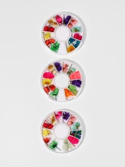 Сухоцветы для декора «Ромашки», объёмные, 12 видов, в футляре, разноцветные