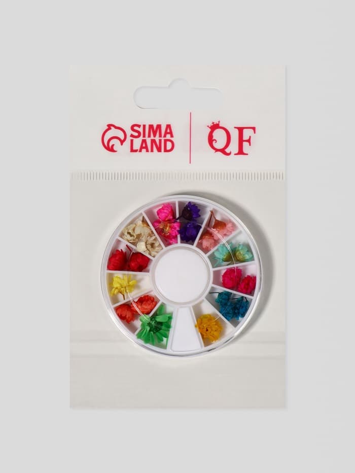 Сухоцветы для декора «Ромашки», объёмные, 12 видов, в футляре, разноцветные