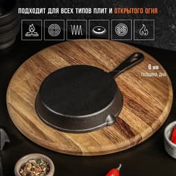 Сковорода Magma «Вилфред», 15.5×3 см, с 2 сливами, индукция, чугун, чёрная