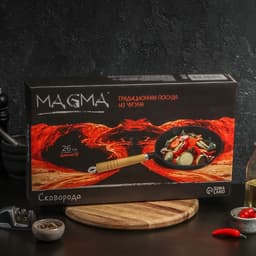 Сковорода Magma «Эко», 25×4.5 см, с 2 сливами, съёмная деревянная ручка, индукция, чугун, чёрная