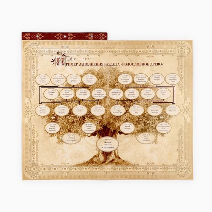 Родословная книга с рамкой под фото «Семейная летопись», 22.5×23.7 см