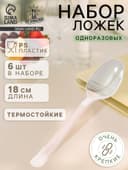 Ложки одноразовые Не ЗАБЫЛИ! «Премиум», набор 6 шт., 18 см, пластик, прозрачные