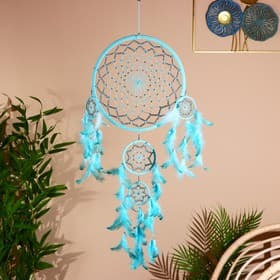 Ловец снов, 50×85 см