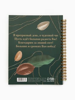 Журнал успеваемости на год, А5, 80 л., мягкая обложка «Золотому учителю»