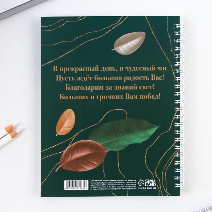 Журнал успеваемости на год, А5, 80 л., мягкая обложка «Золотому учителю»