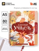 Журнал успеваемости на год, А5, 80 л., мягкая обложка «Классный учитель»