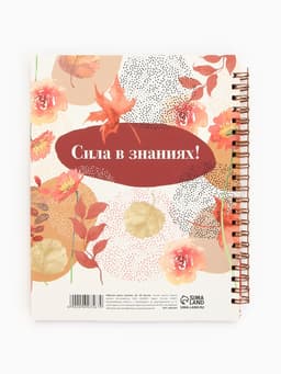 Журнал успеваемости на год, А5, 80 л., мягкая обложка «Классный учитель»